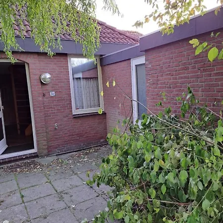 Derbyallround مكان تخييم *